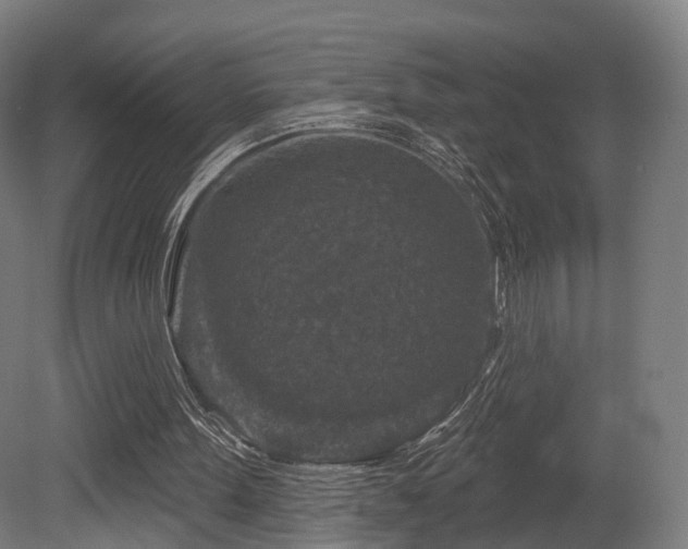 X0000079580099200612011228