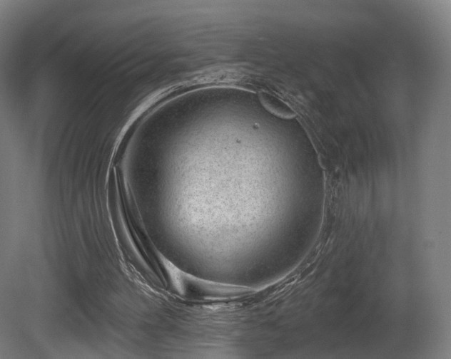 X0000079580100200612011228