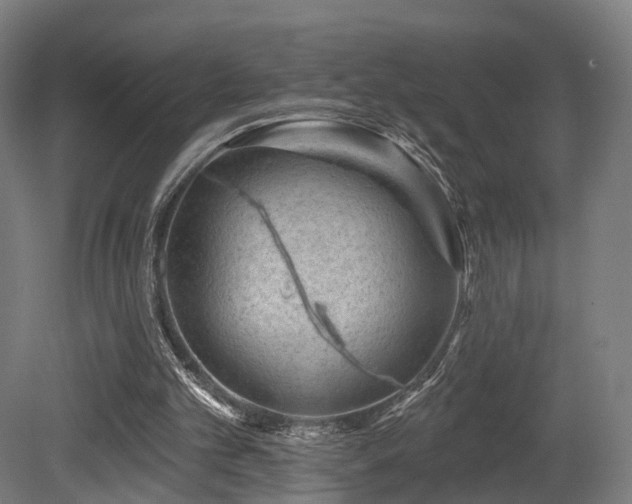 X0000079580101200612011228