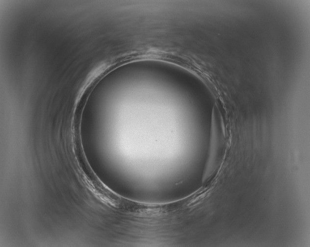 X0000079580102200612011228