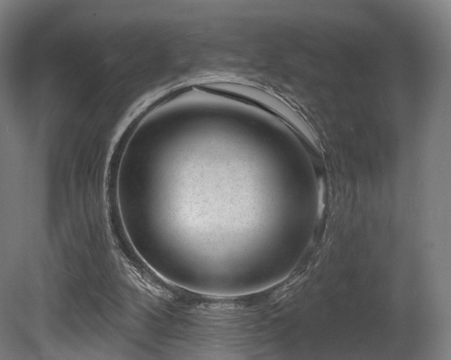 X0000079580104200612011228