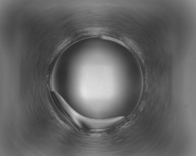 X0000079580105200612011228