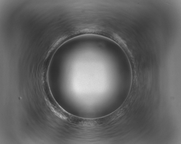 X0000079580106200612011228