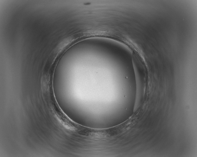 X0000079580107200612011228