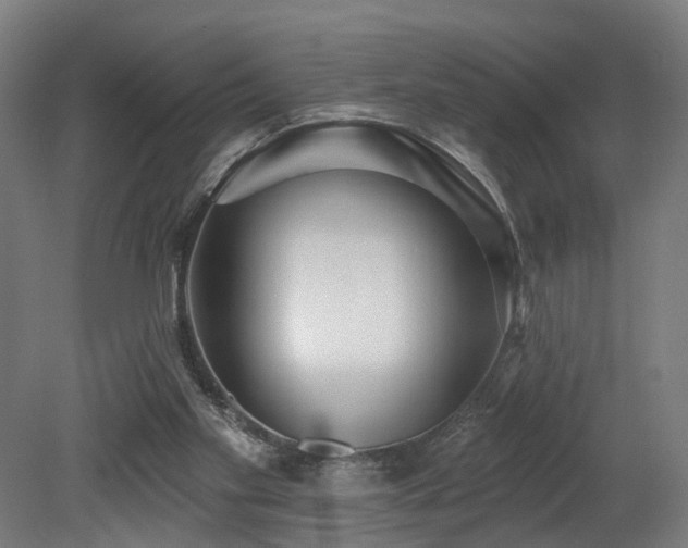 X0000079580109200612011228