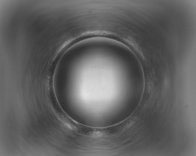 X0000079580111200612011228