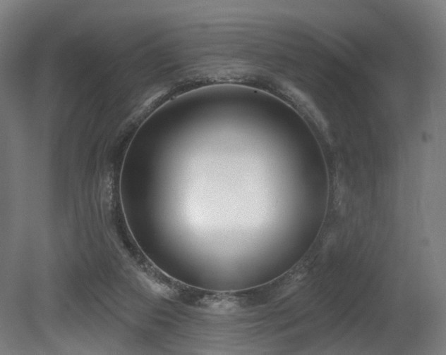 X0000079580113200612011228