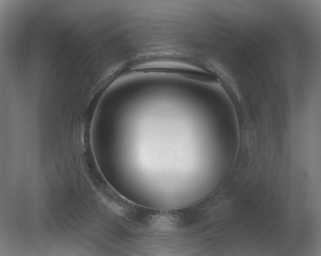 X0000079580115200612011228