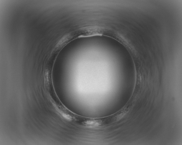 X0000079580117200612011228