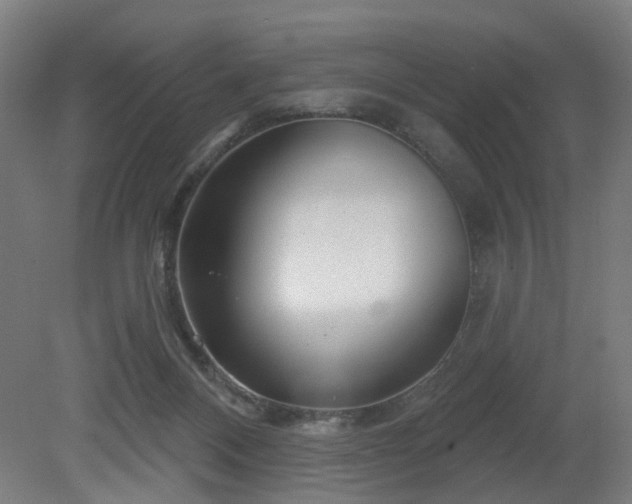 X0000079580120200612011228