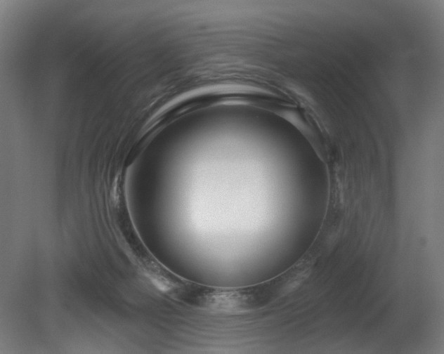 X0000079580121200612011228