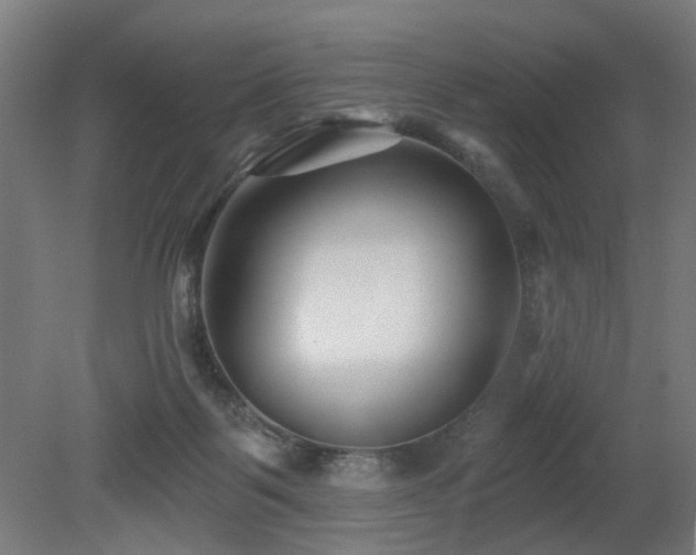 X0000079580123200612011228
