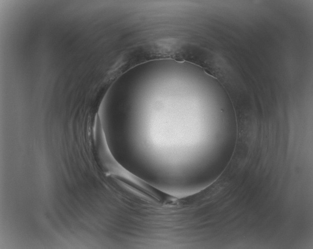 X0000079580131200612011228