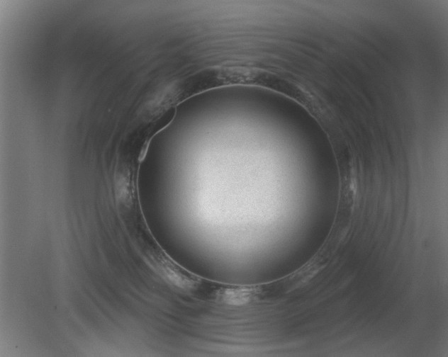 X0000079580134200612011228