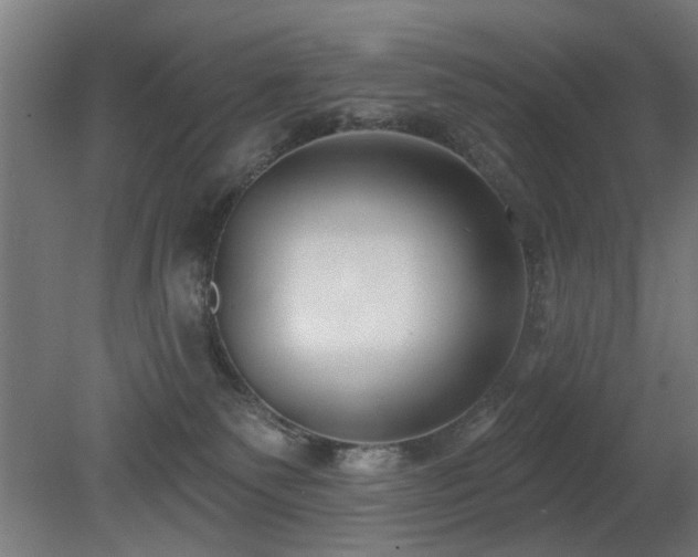 X0000079580135200612011228