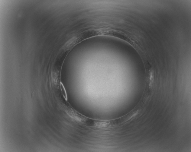 X0000079580139200612011228