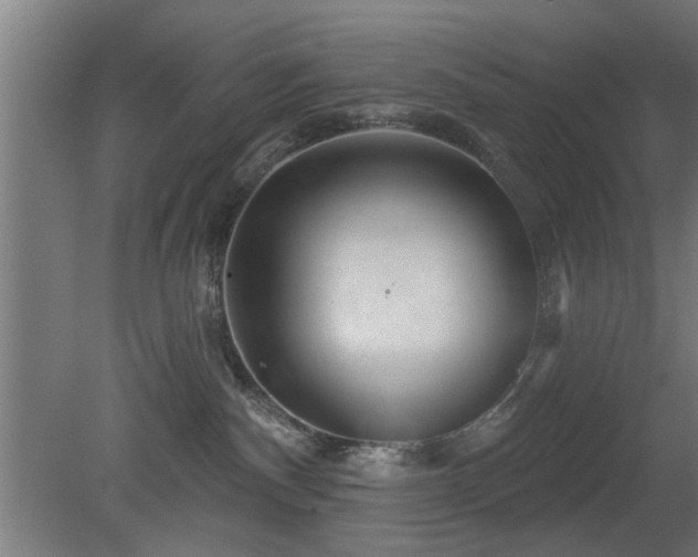 X0000079580140200612011228