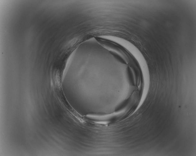 X0000079580143200612011228