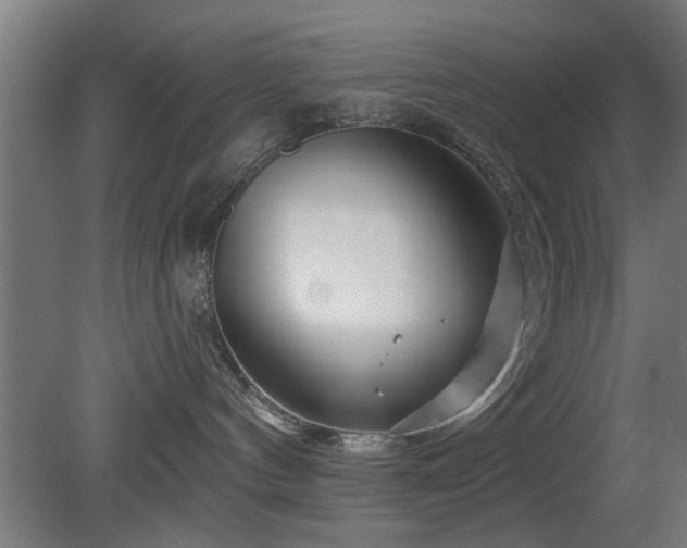 X0000079580144200612011228