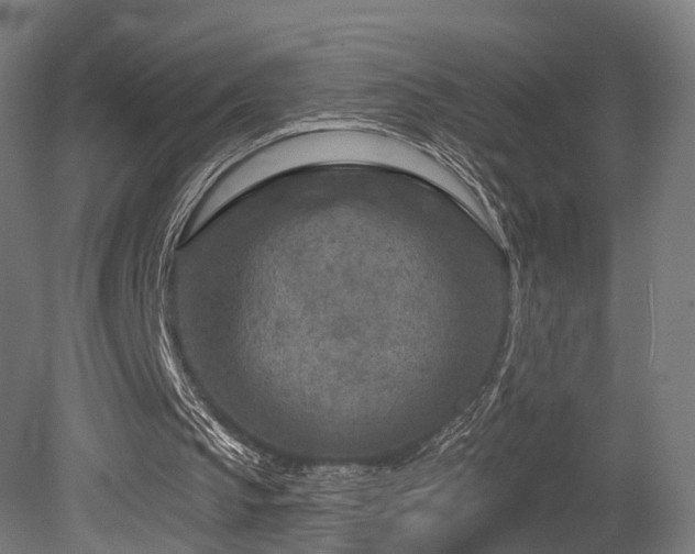 X0000079580145200612011227
