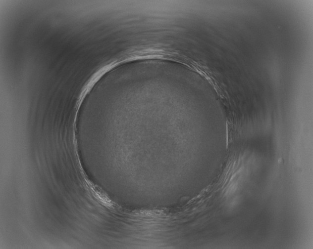 X0000079580147200612011227