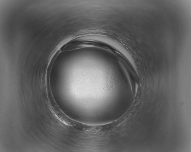 X0000079580148200612011227