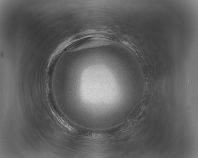 X0000079580149200612011227