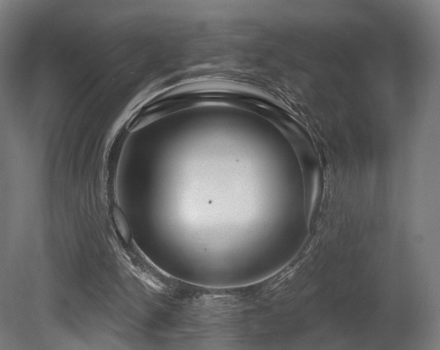 X0000079580150200612011227