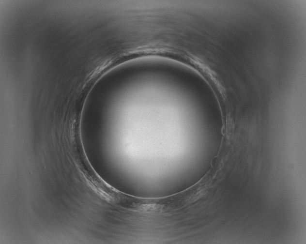 X0000079580153200612011227