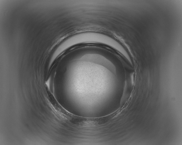 X0000079580154200612011227
