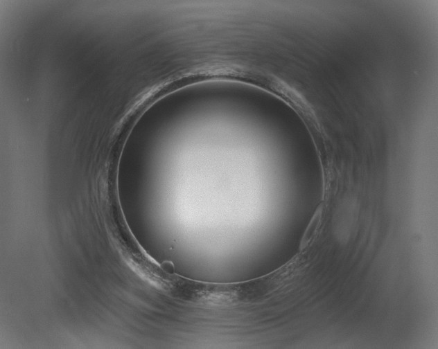 X0000079580155200612011227