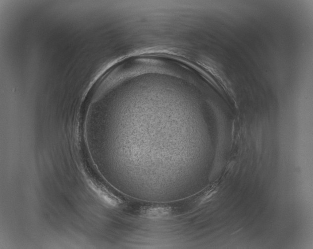 X0000079580156200612011227