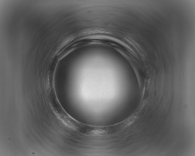 X0000079580158200612011227