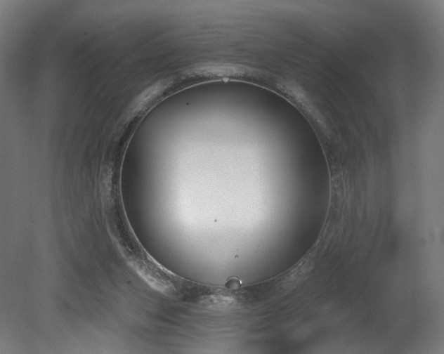 X0000079580159200612011227