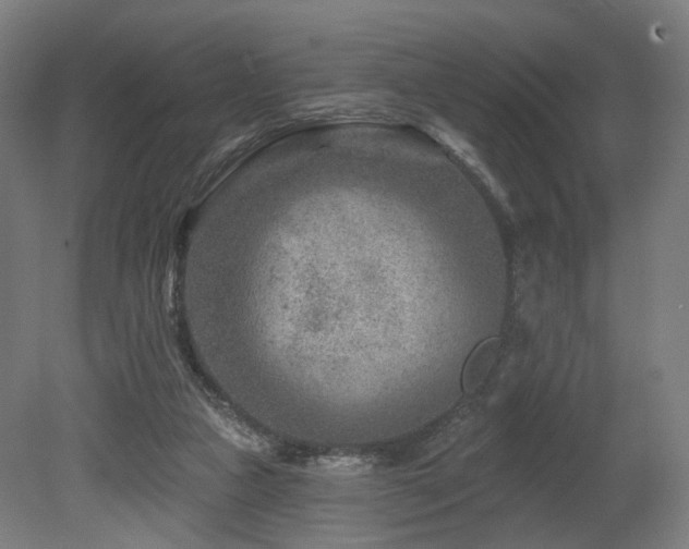 X0000079580161200612011227