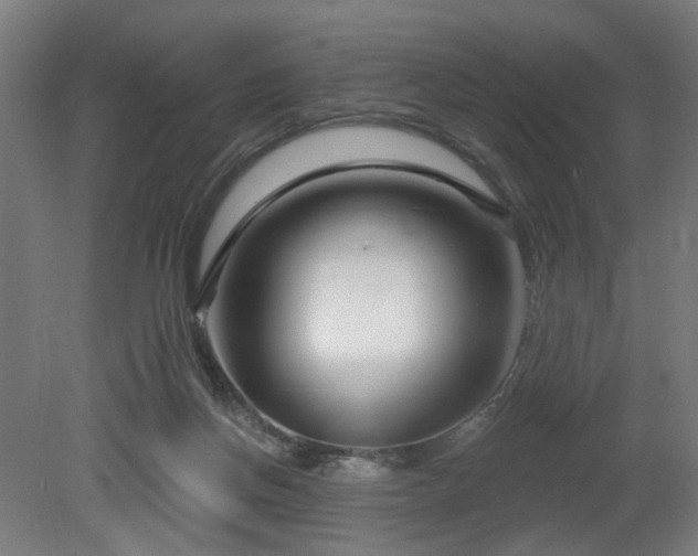 X0000079580166200612011227