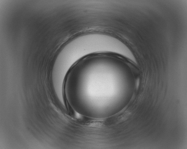 X0000079580168200612011227