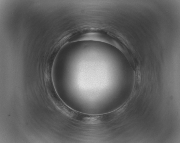 X0000079580170200612011227