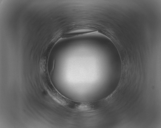 X0000079580171200612011227