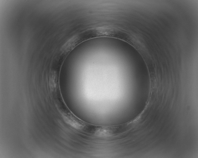 X0000079580174200612011227