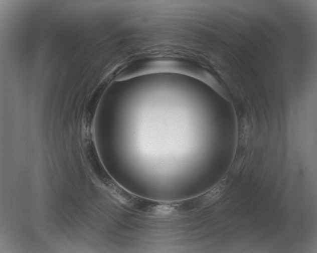 X0000079580176200612011227