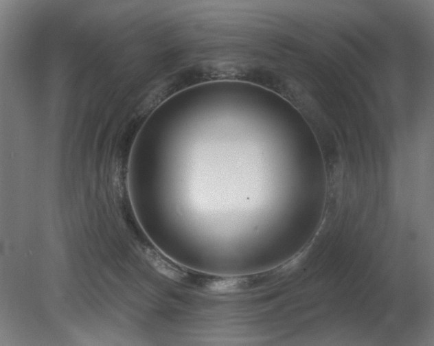 X0000079580178200612011227