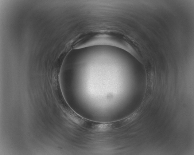 X0000079580184200612011227