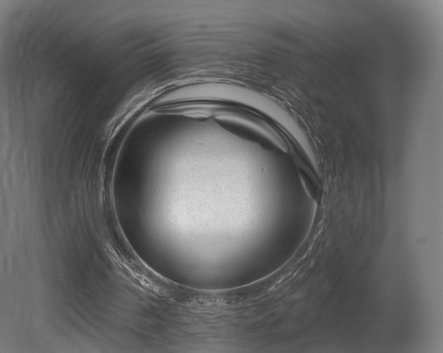 X0000079580194200612011227