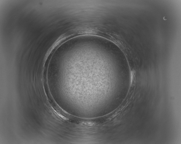 X0000079580195200612011227