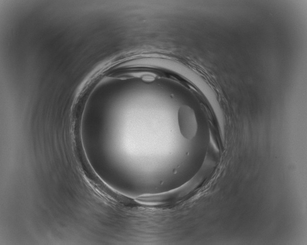 X0000079580197200612011227