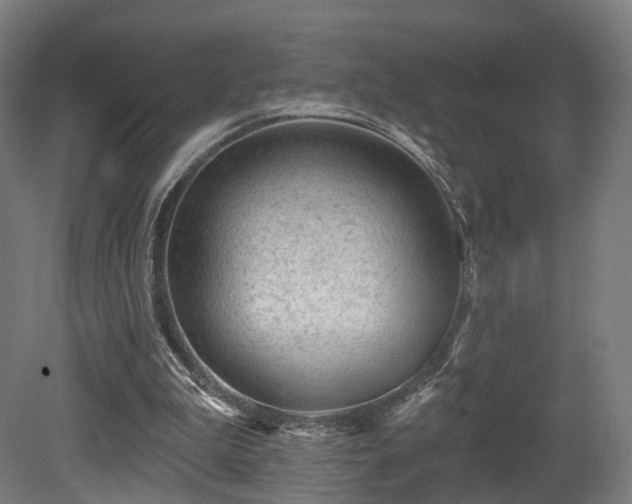 X0000079580199200612011227
