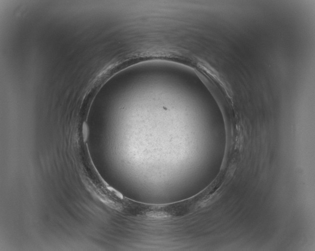 X0000079580203200612011227