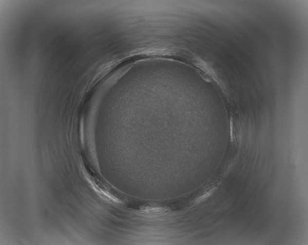 X0000079580205200612011226