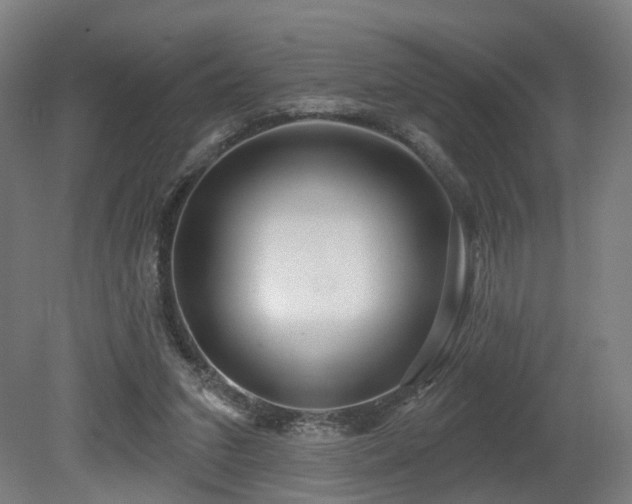 X0000079580207200612011226